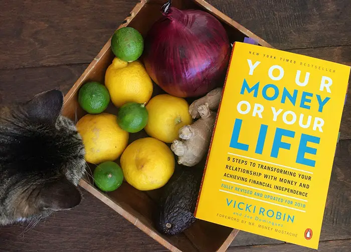 Your Money or Your Life Book