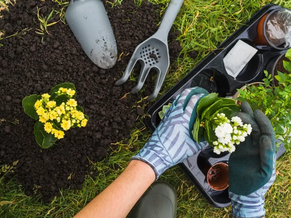 Gardening for teachers