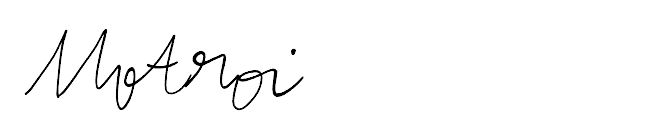 Viorel Motroi's signature